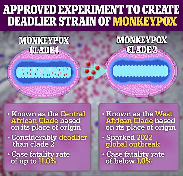 Im Oktober 2022 gab Dr. Bernard Moss bekannt, dass ein Forscherteam Clade II Mpox mit Genen des gefährlicheren Clade I-Stamms ausstatten wollte