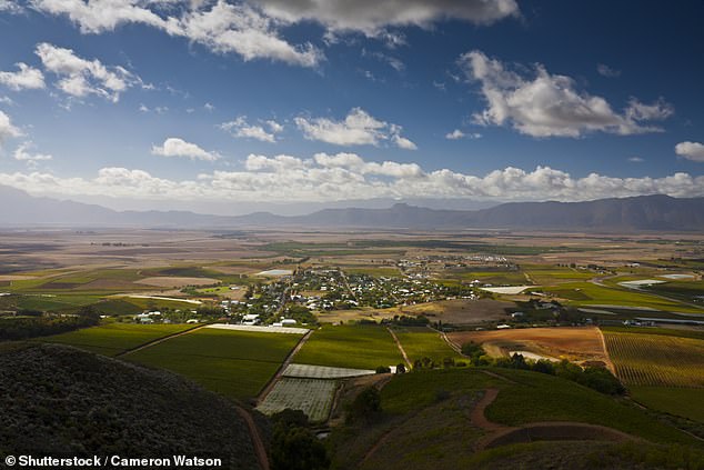 Einfach göttlich: Die Stadt liegt tief im Weinanbaugebiet, 50 Meilen nordöstlich von Kapstadt