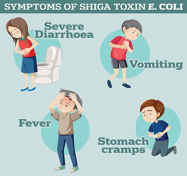 Zu den Symptomen von Shiga-Toxin produzierenden E.coli-Bakterien zählen laut der britischen Gesundheitsbehörde Health Security Agency schwerer Durchfall und Erbrechen.