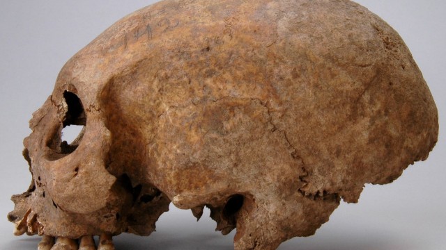 Archeology: The woman from Havor with the "Tower skull" came from Gotland.