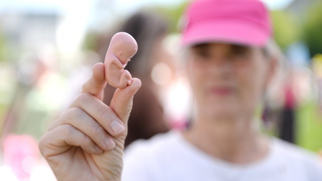 "March for Life": Plastic fetuses were at the stand of "Sundays for life" offered.