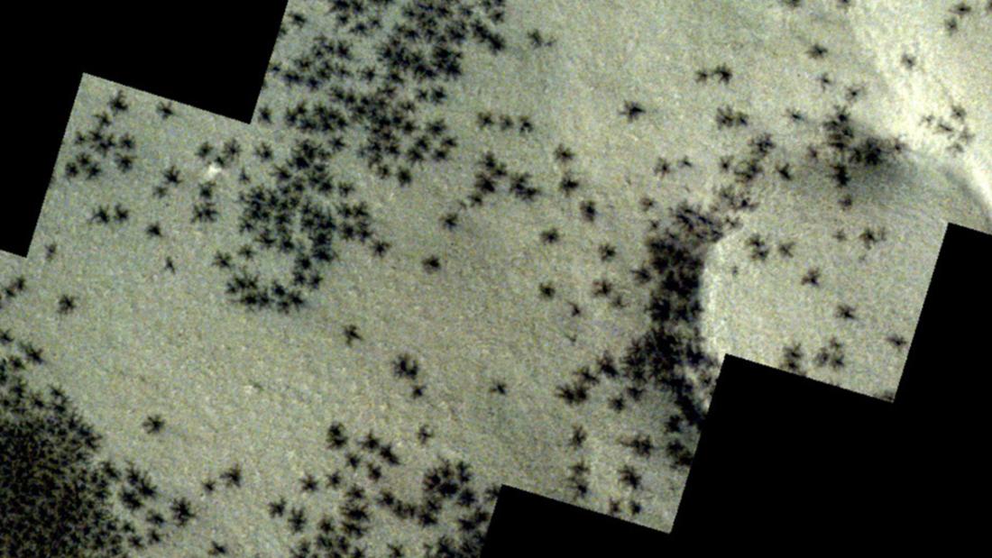 Traces of spiders on Mars.