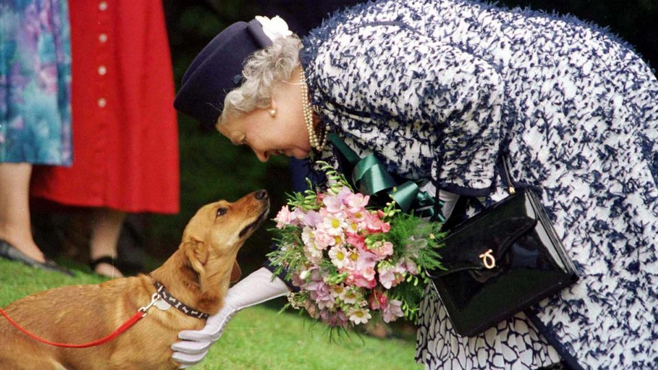 Britain's Queen Elizabeth II pets one of her Corgi dogs