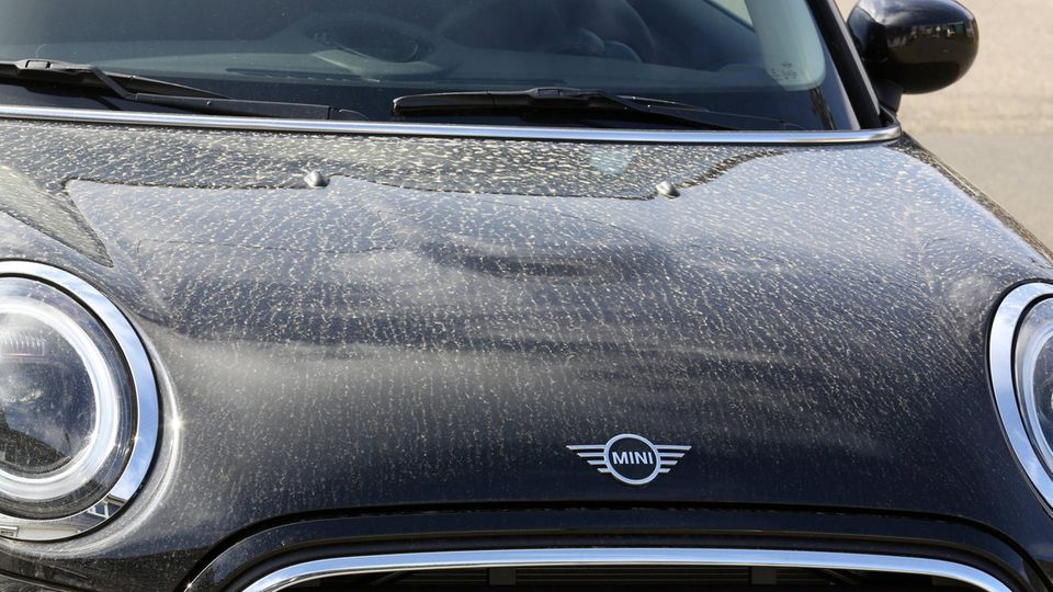 Car car wash mini Sahara dust