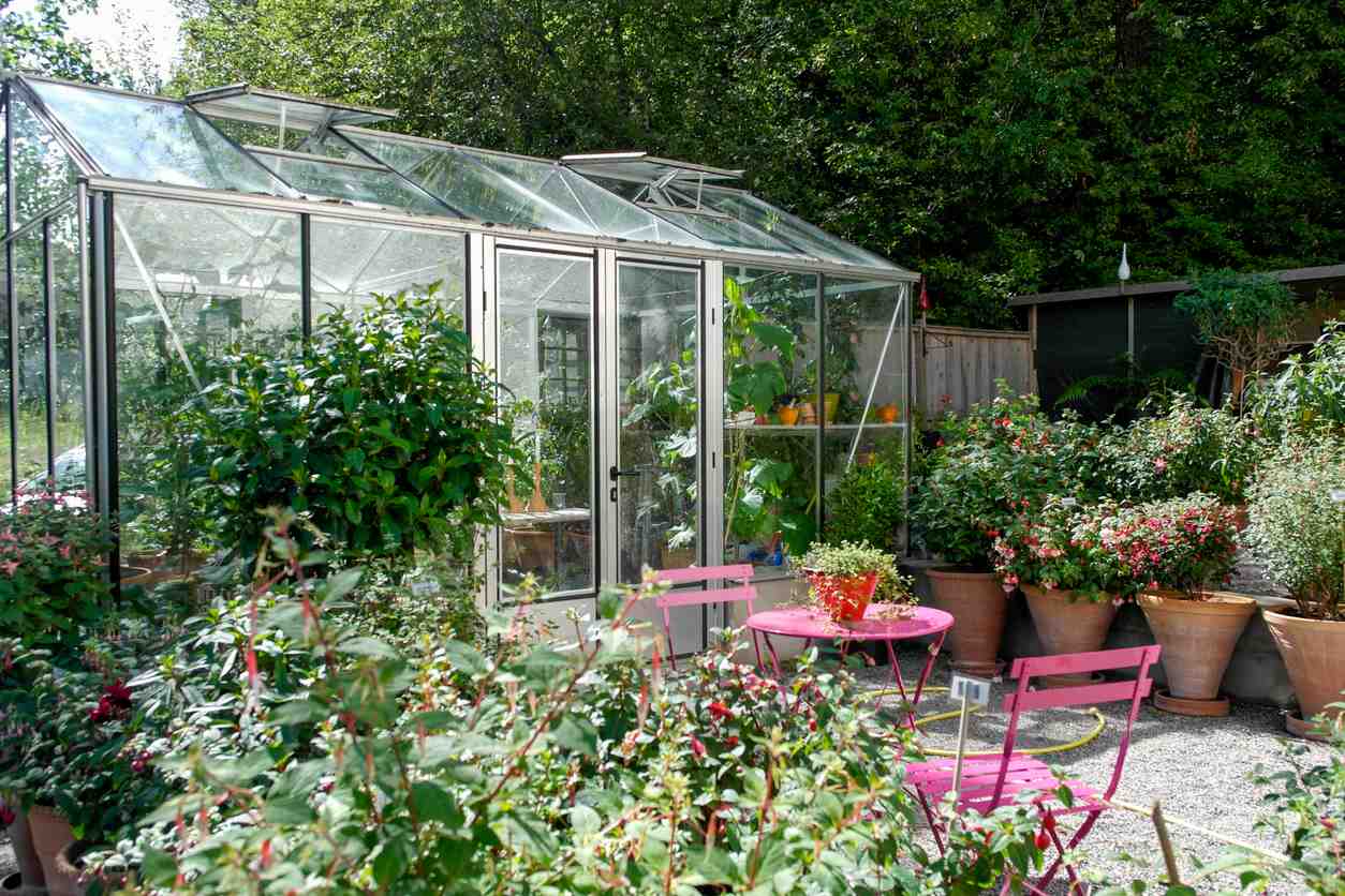 greenhouse in the garden under the spring sun