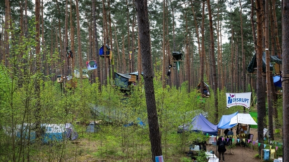 Protest camp in the forest - what deadline the court sets