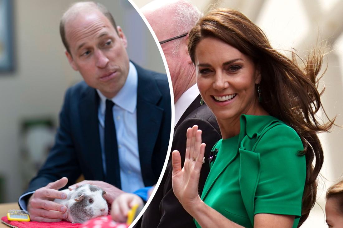 Prince William caressed “Snowflake” and made it clear how much Princess Kate would have liked to be there (photo montage).