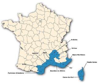 The presence map of the Hyalomma marginatum tick in mainland France.